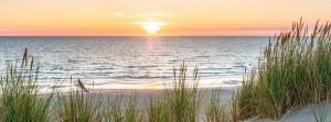 Sunset Properties